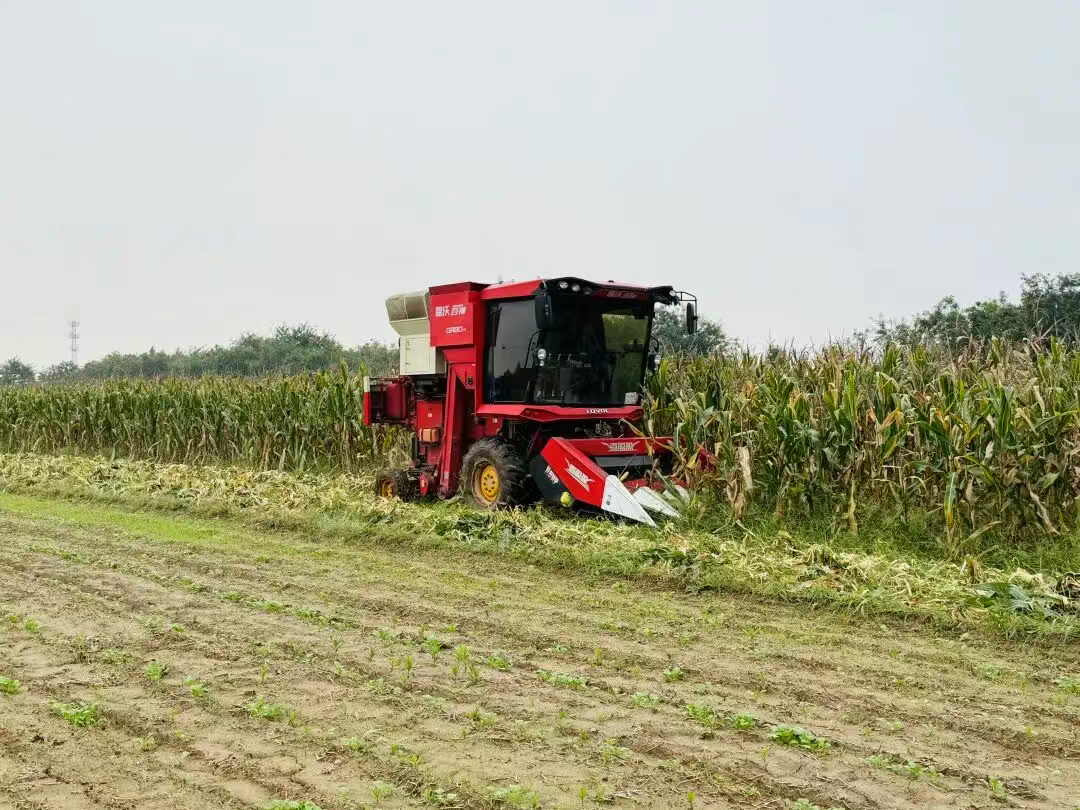 财政部迅速下达4.84亿元救灾资金