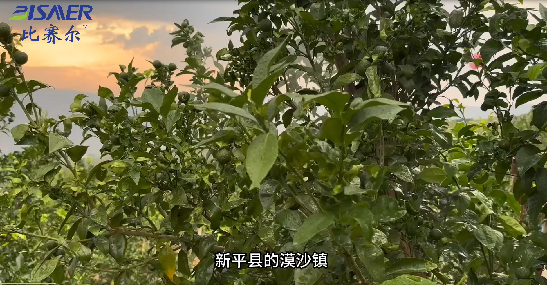 农药科技创新助力农业强国建设——解读《加快建设农业强国规划（2024—2035年）》中的行业机遇