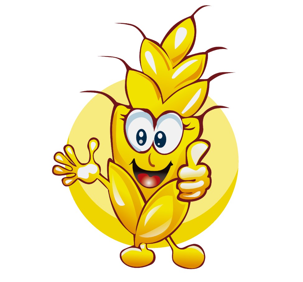 小麦作物解决方案