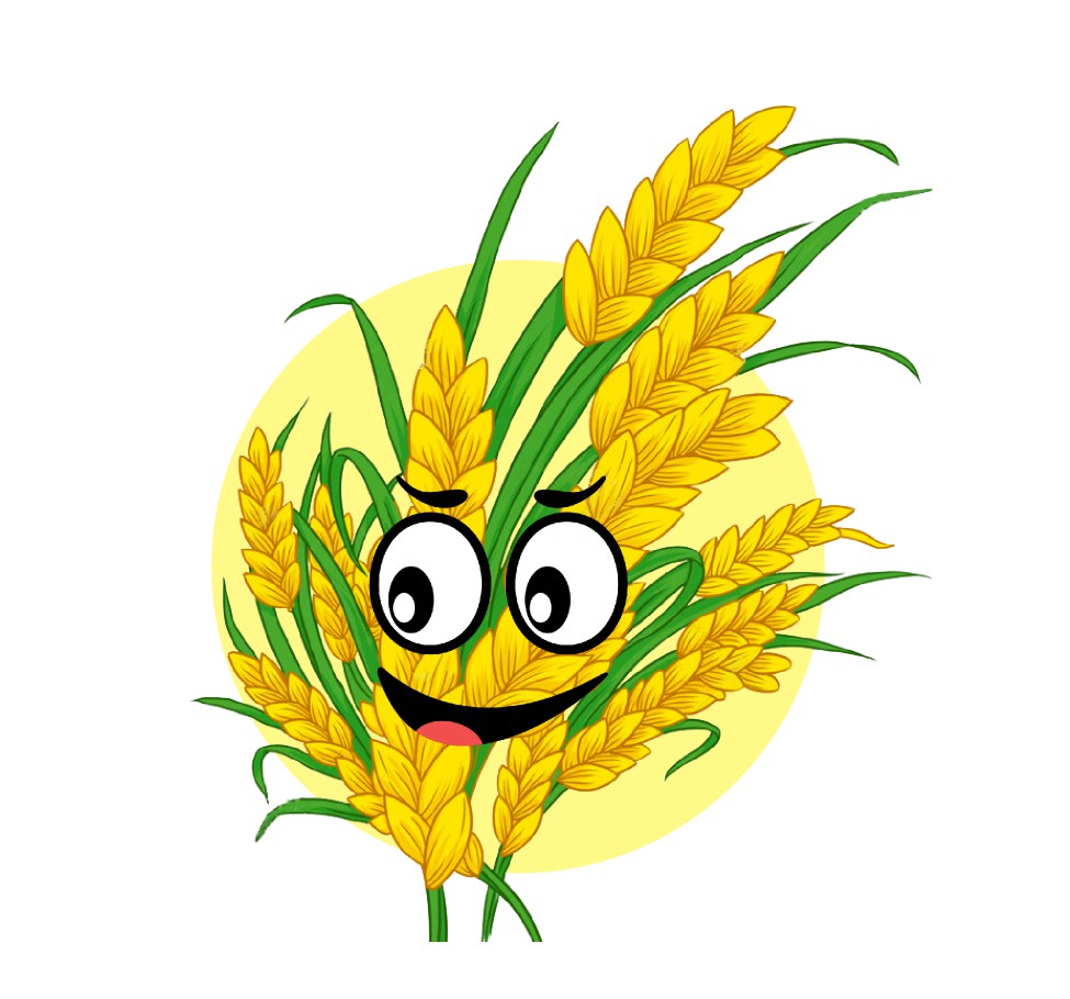 水稻作物解决方案